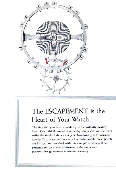 The Escapement is the Heart of Your Watch.  The tiny tick you hear is made by this constantly beating heart.  Over 400 thousand times a day, the jewels on the lever strike the teeth of the escape wheel - allowing it to measure exactly 1/5 of a second.  In every fine Swiss watch, these jewels are first cut and polished with microscopic accuracy, then patiently set by master craftsmen in the one exact position that guarantees maximum accuracy.